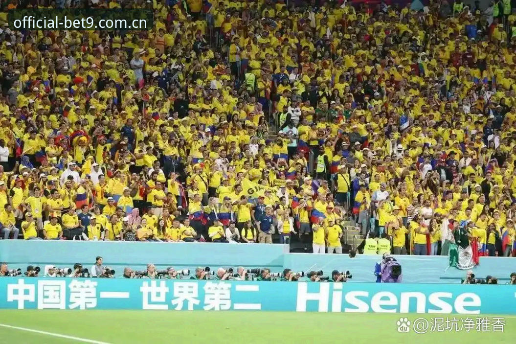 BET9安全吗 资深英国球迷分享:世界杯安保新难题,从四十人到三人的实战经验